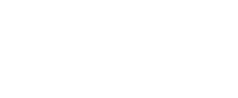 Human Resource Professionals