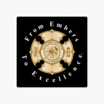 From Embers to Excellence: Interview with David Shar